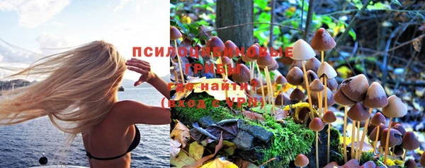 амфетамин Богданович