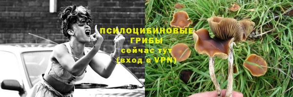 амфетамин Богданович