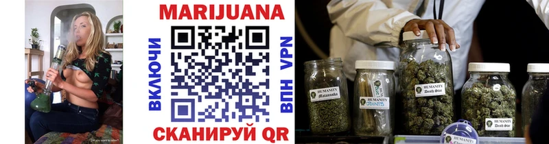 продажа наркотиков  Великий Устюг  Конопля SATIVA & INDICA 